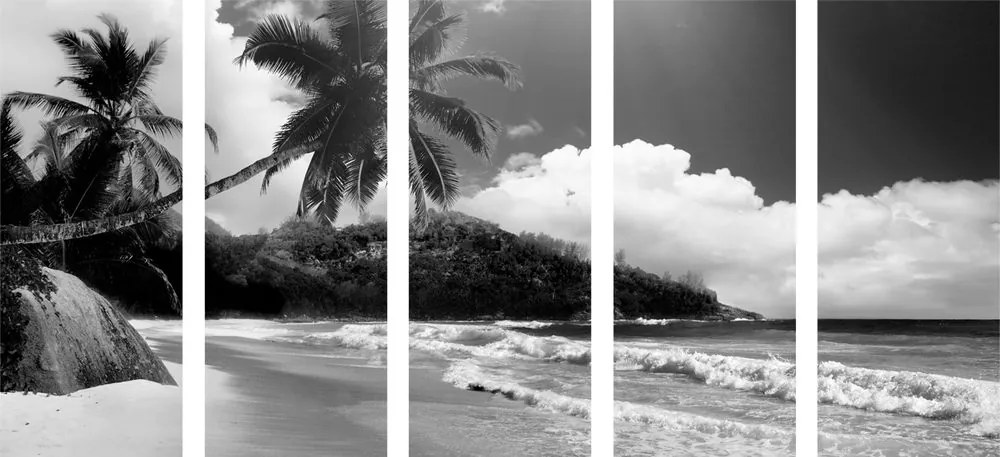 Εικόνα 5 μερών μιας όμορφης παραλίας στις Σεϋχέλλες σε ασπρόμαυρο