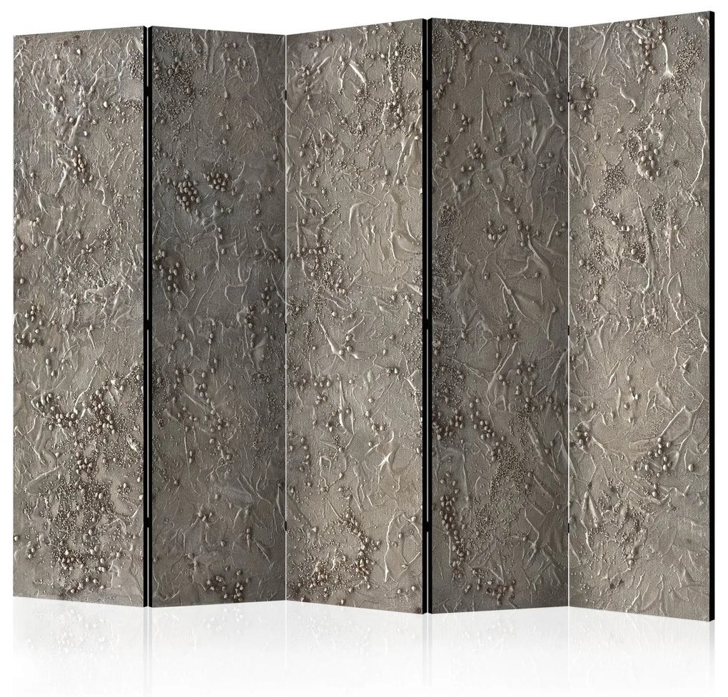 Διαχωριστικό με 5 τμήματα - Silver Serenade II [Room Dividers] 225x172