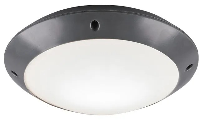 Φωτιστικό Οροφής Reality Lighting -RL CAMARO R60501042 Ανθρακί (Anthracite)