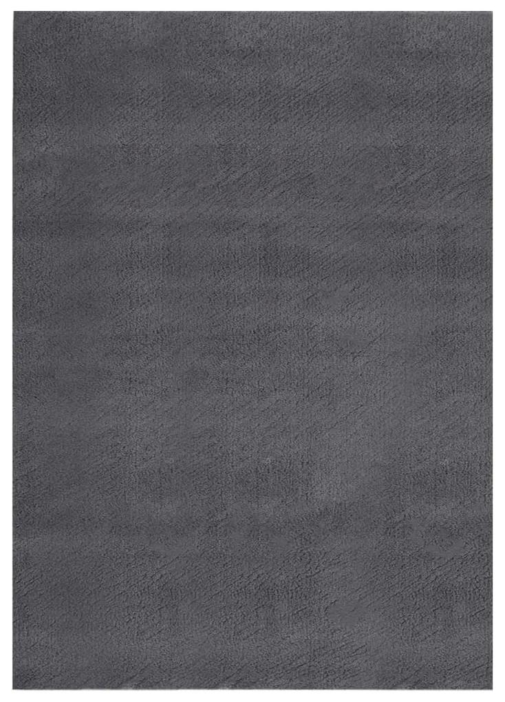 Χαλί Shaggy Πλενόμενο Μαλακό Αντιολισθητικό Ανθρακί 120x170 εκ.
