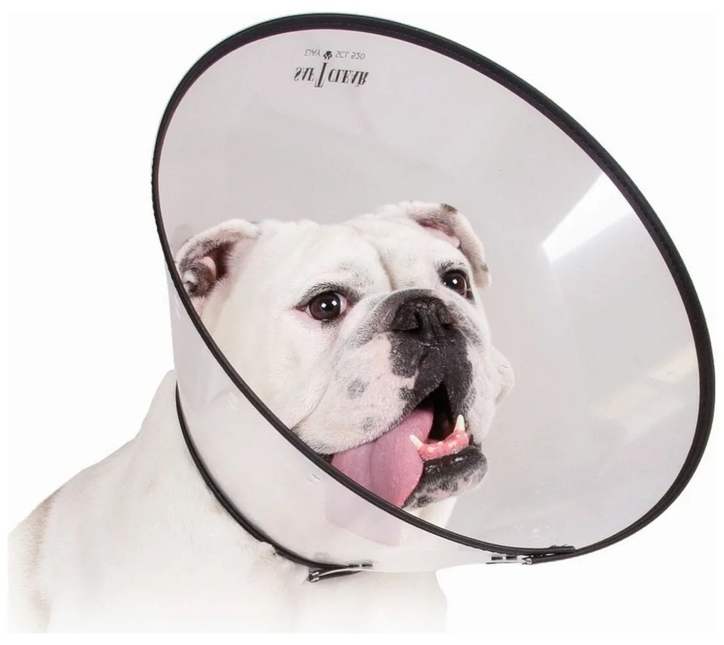 Ελισαβετιανό Κολάρο για Σκύλους KVP Saf-T-Clear Διαφανές (17-30 cm)