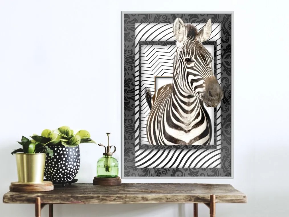 Αφίσα - Zebra in the Frame - 20x30 - Χρυσό - Με πασπαρτού