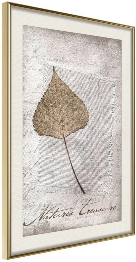 Αφίσα - Dried Leaf - 20x30 - Χρυσό - Με πασπαρτού