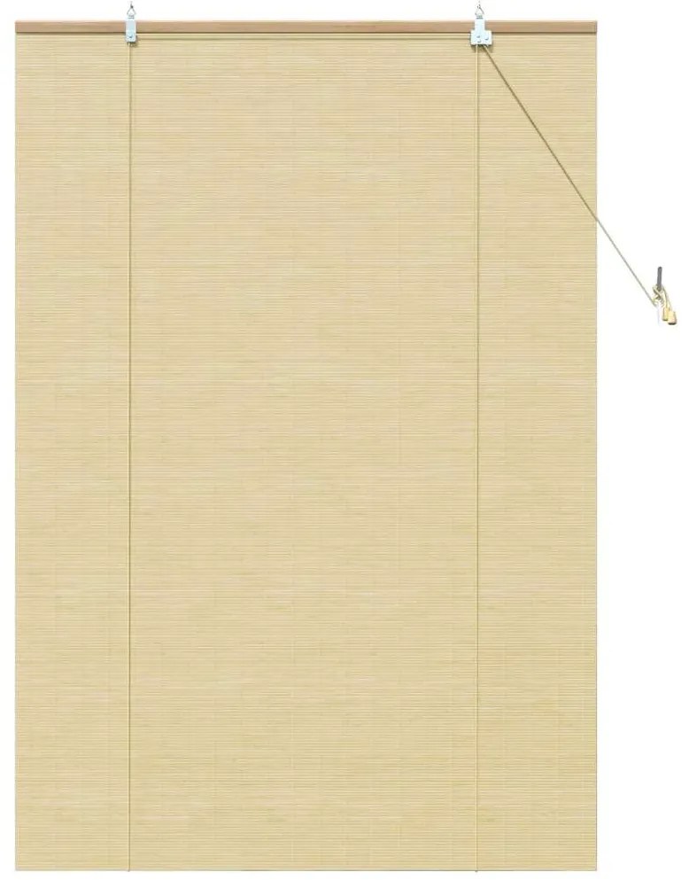 vidaXL Ρολά και Σκίες Παραθύρων Φυσικό 100 x 160 cm Μπαμπού