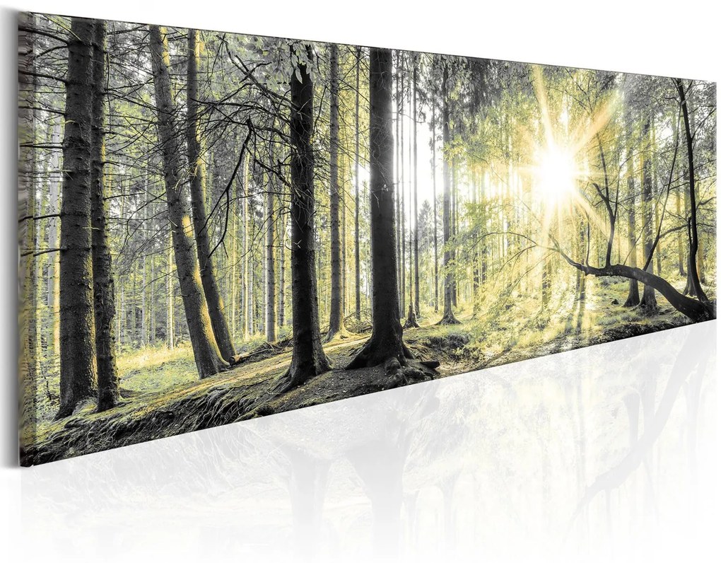 Πίνακας - Morning Forest 135x45