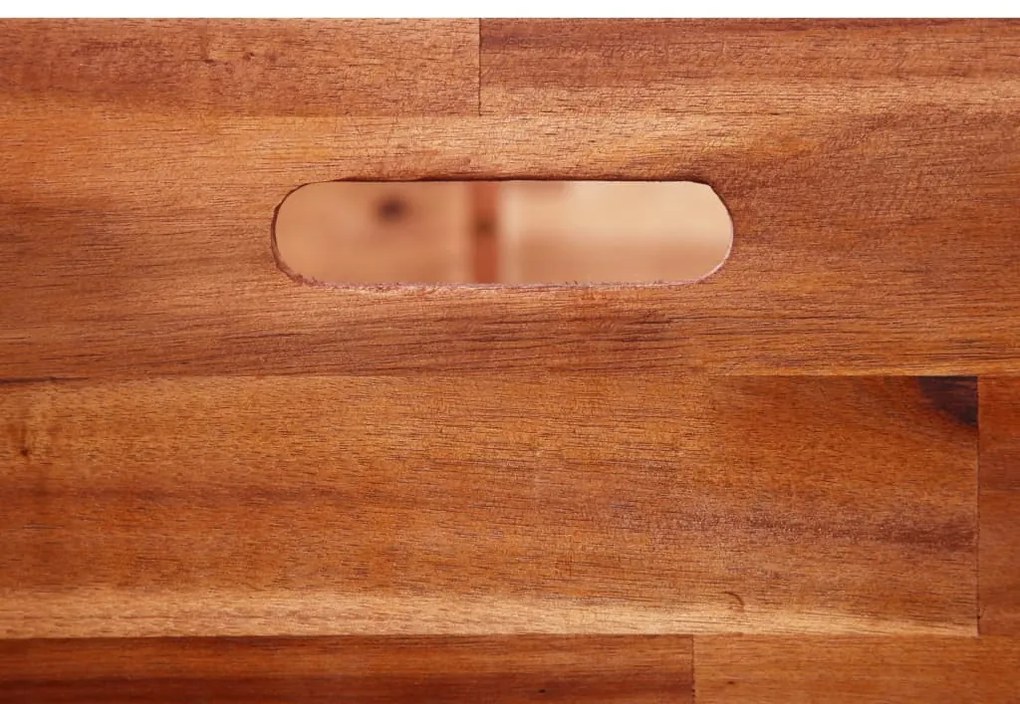 vidaXL Ζαρντινιέρα Υπερυψωμένη 100 x 50 x 50 εκ. από Ξύλο Ακακίας