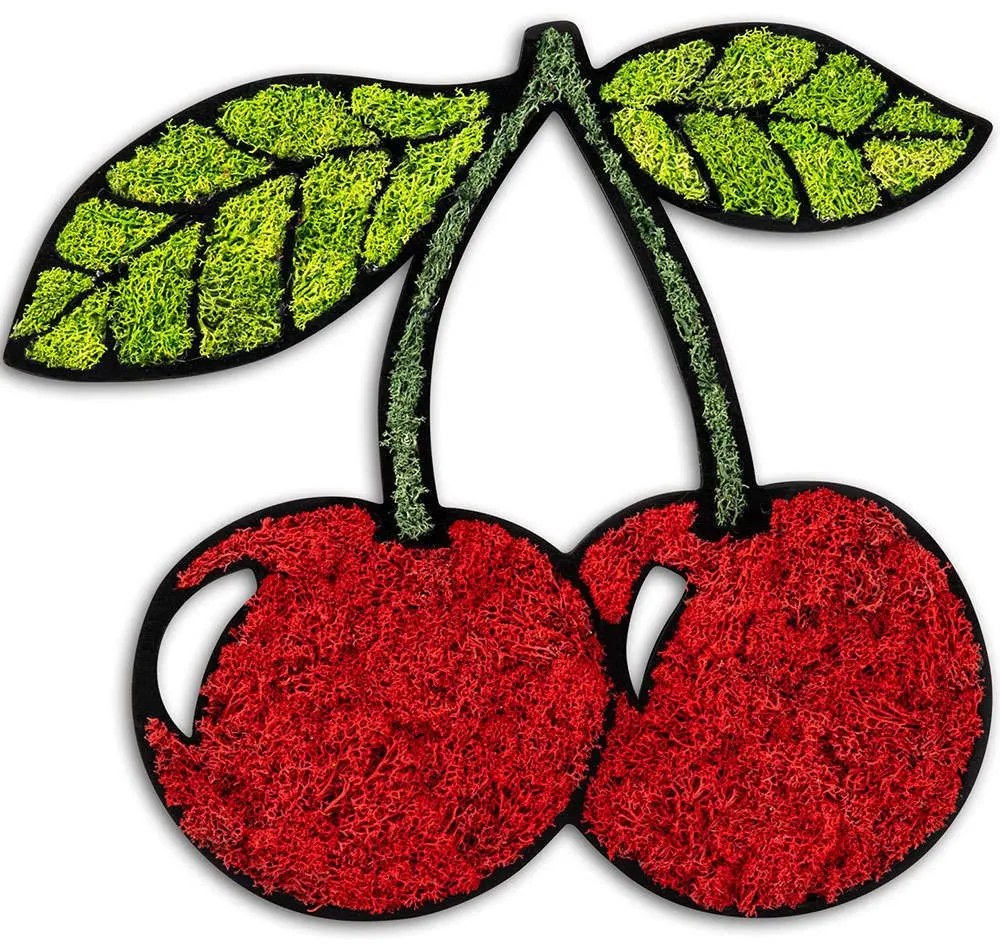 Διακοσμητικό Τοίχου Cherry Με Βρύο 931NTR1131 42x40cm Green-Red Wallity Mdf