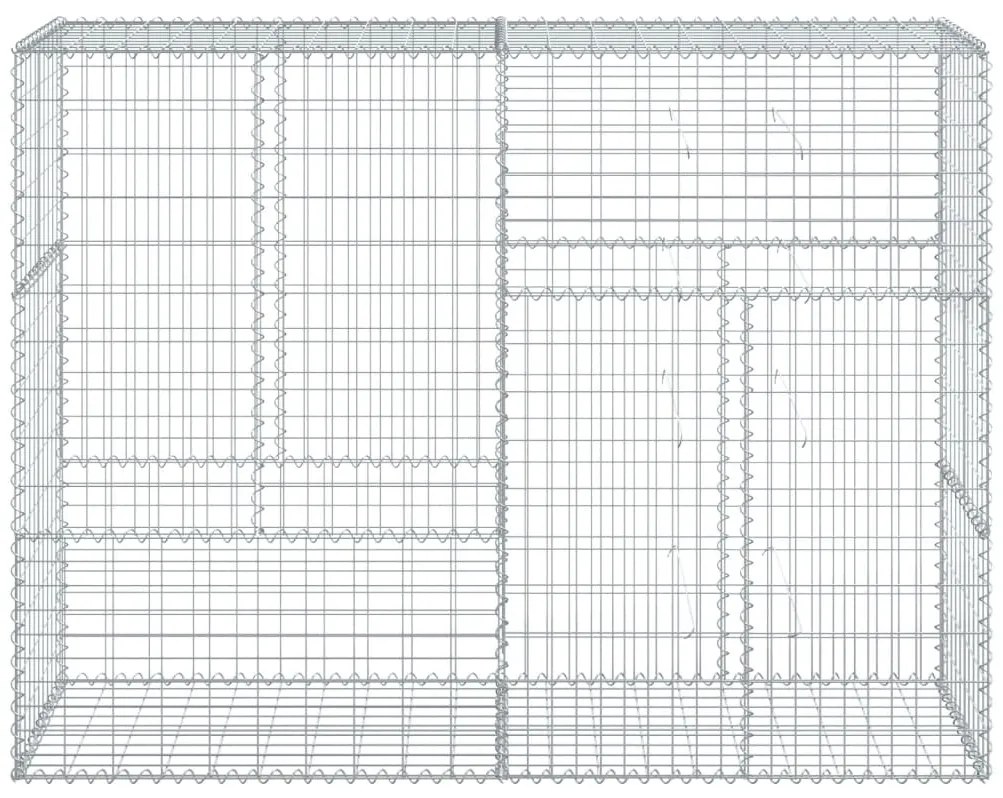 vidaXL Συρματοκιβώτιο με Κάλυμμα 200x50x150εκ. από Γαλβανισμένο Χάλυβα