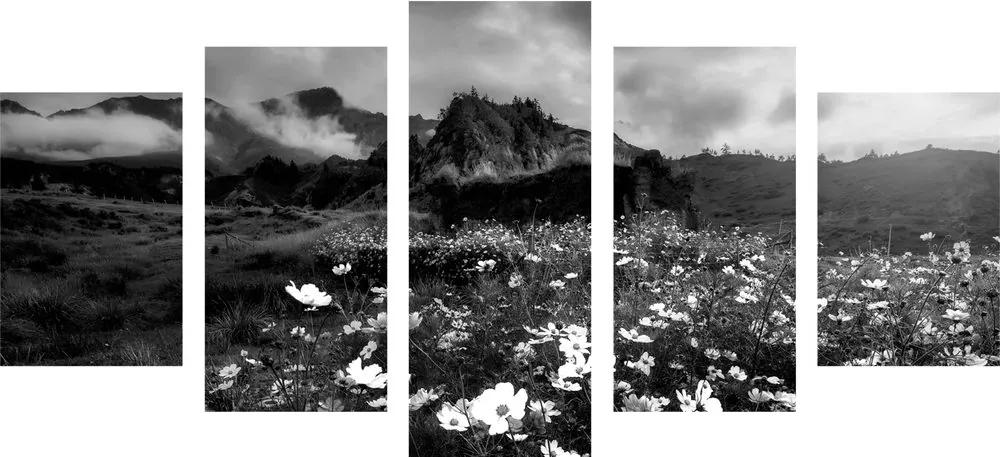 Εικόνα 5 μερών ανθισμένων λουλουδιών σε ασπρόμαυρο - 100x50
