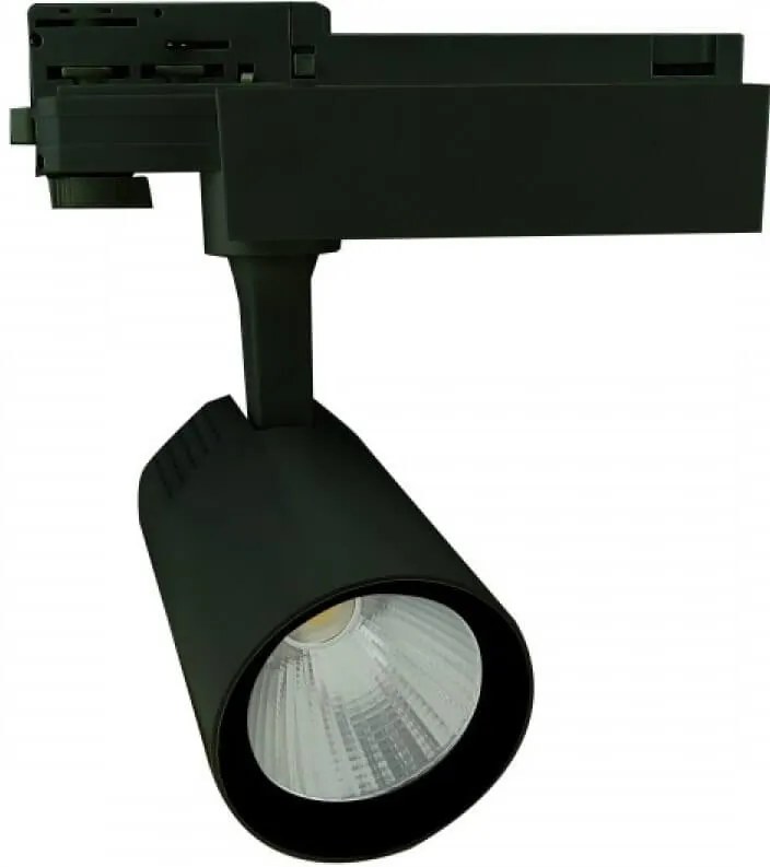 Σποτ ράγας Alleway LED-Leuko-20W