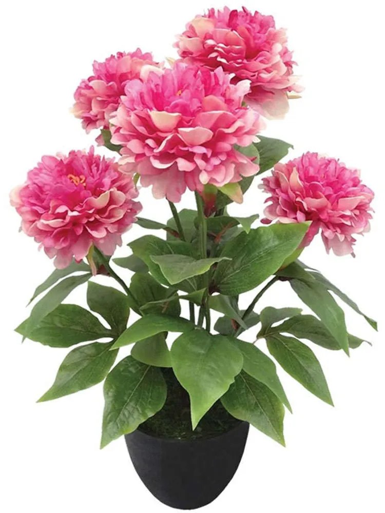 Τεχνητό Φυτό Παιώνια Σε Κασπώ 04-00-24185-1 48cm Multi-Fuchsia Marhome Πλαστικό