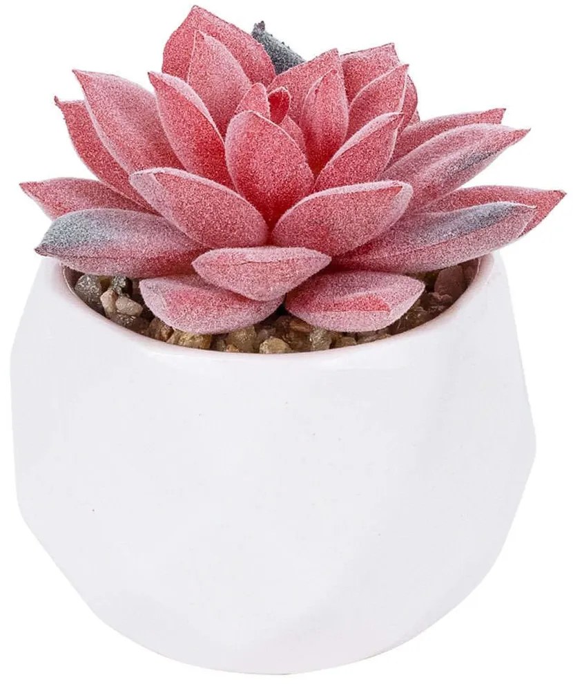 Τεχνητό Φυτό Σε Κασπώ Sedeveria 20989 Φ6,5x8cm Pink-White GloboStar Clay,Polyethylene