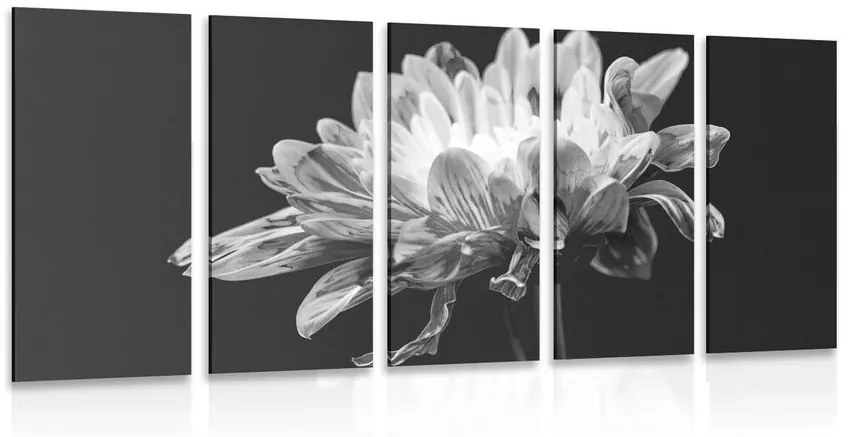 Εικόνα 5 μερών ασπρόμαυρη μαργαρίτα - 100x50