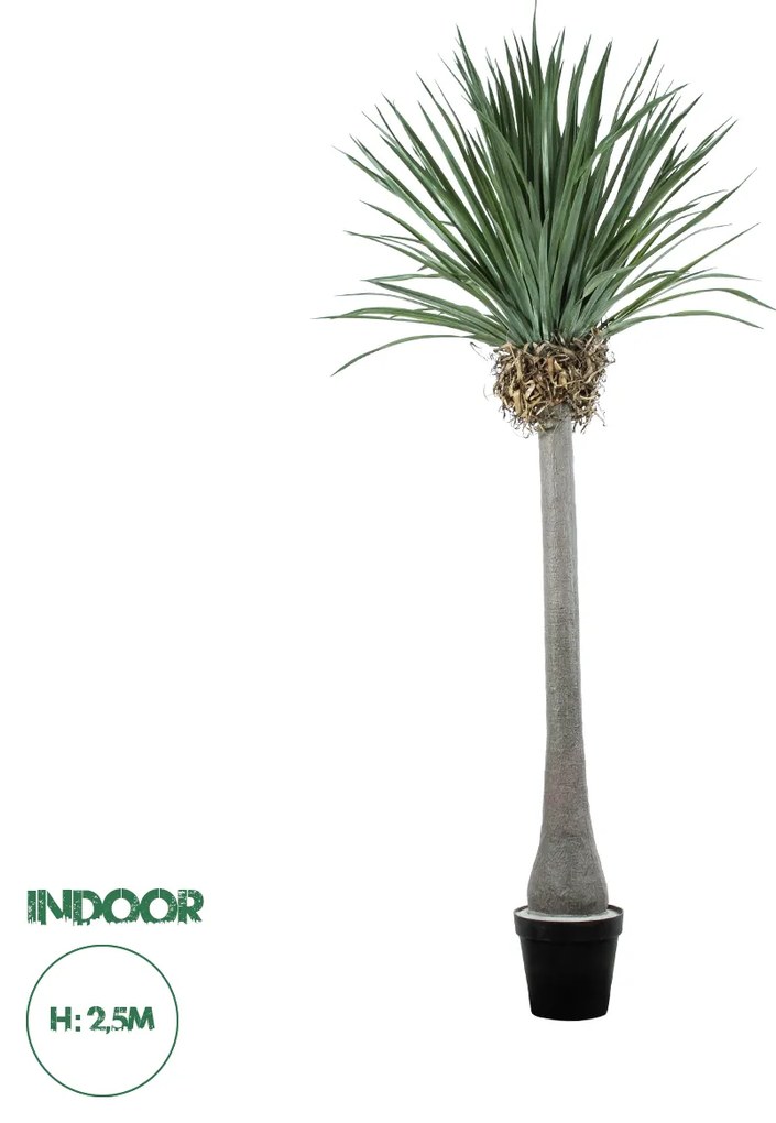 Artificial Garden BEAUCARNEA PALM TREE 20048 Τεχνητό Διακοσμητικό Φυτό Κυρτόφυλλος Μπουκαρνέα Υ250cm