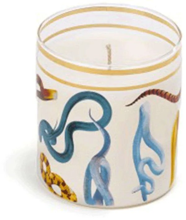 Κερί Σε Βάζο Snakes 14083 8x8,5cm Muti Seletti Paraffin