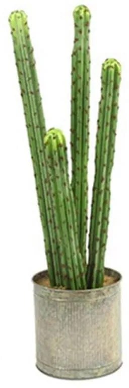 Διακοσμητικό Φυτό Σε Γλάστρα Cactaceae S 16x16x60cm Green Polyethylene