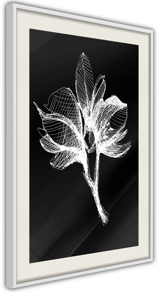 Αφίσα - White Plant - 20x30 - Χρυσό - Με πασπαρτού