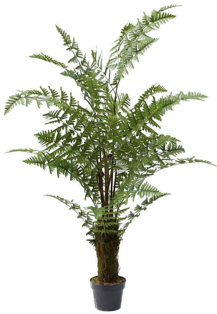 Τεχνητό Δέντρο Αρέκα Phoenix 7280-6 100x150cm Green Supergreens Polyethylene