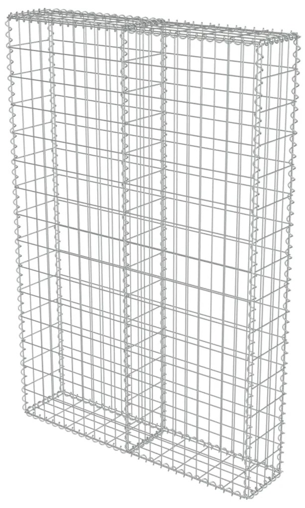 vidaXL Συρματοκιβώτιο Τοίχος 100x20x150 εκ. Γαλβαν.Χάλυβας + Καλύμματα