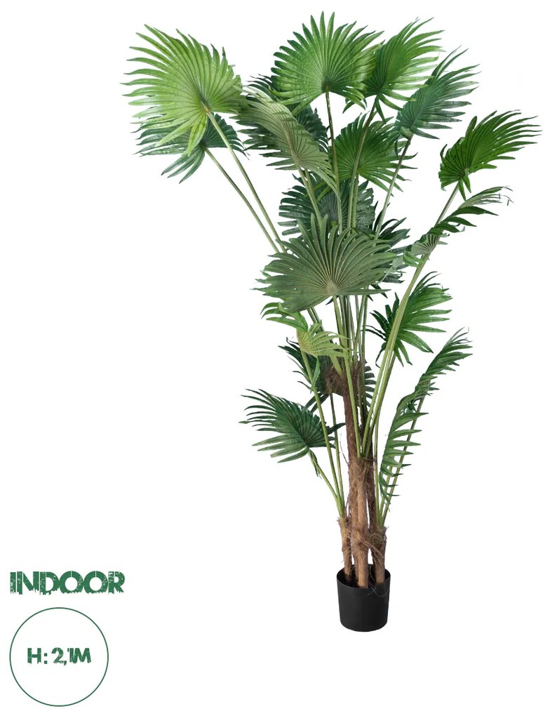 20014 GloboStar® Artificial Garden PALM TREE 20014 Τεχνητό Διακοσμητικό Φυτό Φοινικόδεντρο Βεντάλια Υ210cm