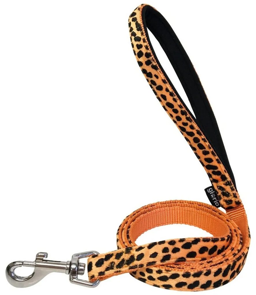 Λουρί Σκύλου Gloria 1.5 x 120 cm Πορτοκαλί