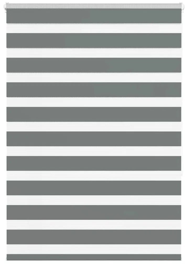 Ζέβρα τυφλή Σκούρο Γκρι Πλάτος υφάσματος 95,9 εκ. Πολυεστέρας