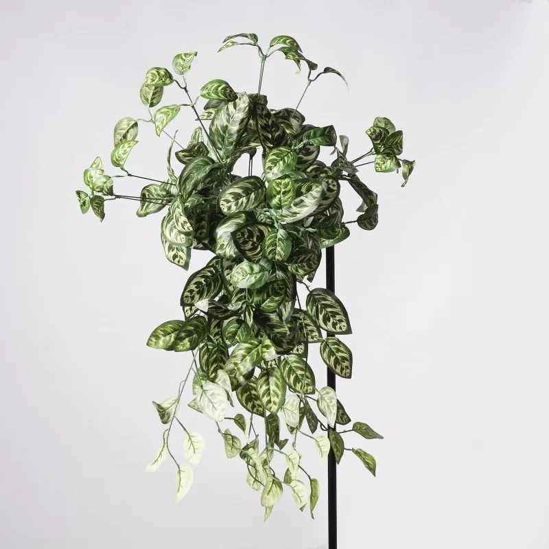 Supergreens Τεχνητός Κρεμαστός Κολεός Blumei Pinata Πράσινος 70 εκ