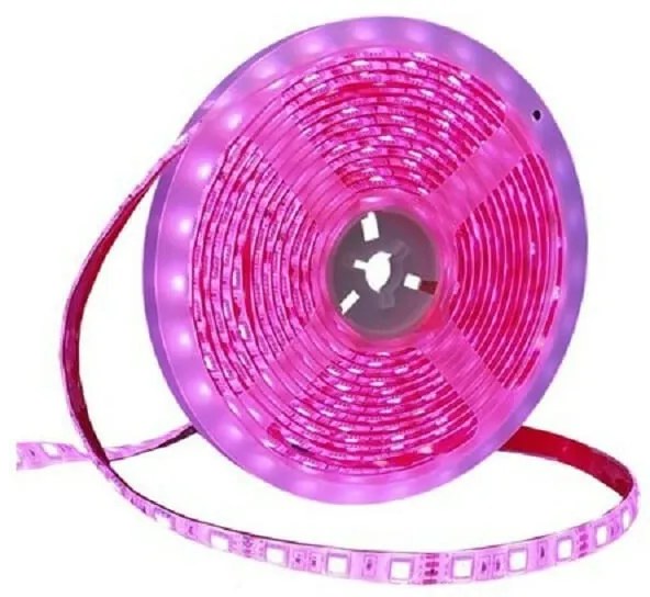 Ταινία LED – LED Strip - IP65 - 5m - Pink - 891207-891207