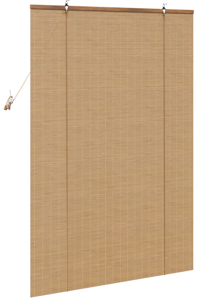 vidaXL Ρολά και Σκίες Παραθύρων Ανοιχτό καφέ 100 x 160 cm Μπαμπού