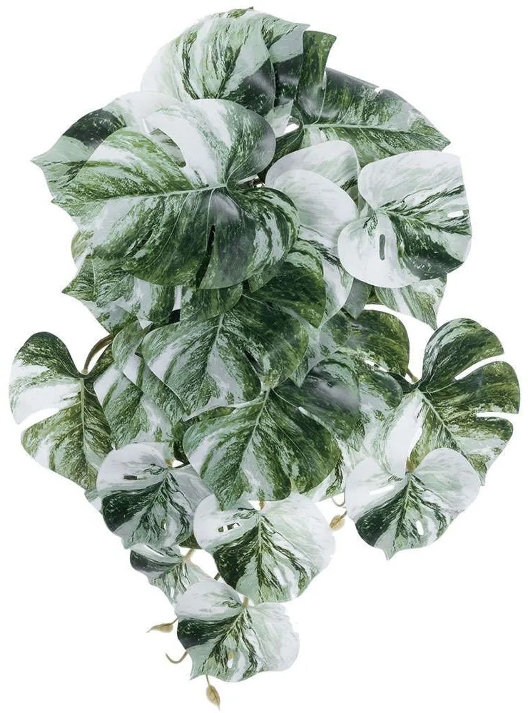 Τεχνητό Κρεμαστό Φυτό Albino Monstera 20609 45cm White-Green GloboStar ΥΦΑΣΜΑ