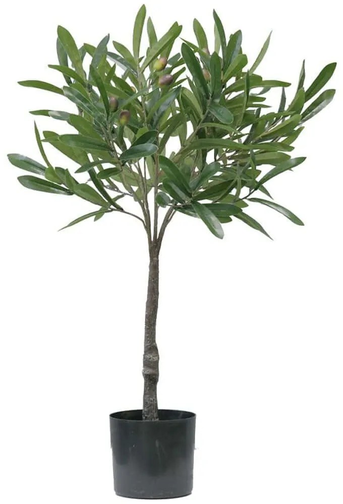 Τεχνητό Φυτό Olia 030729 75cm Green Plastic,Artificial Leather