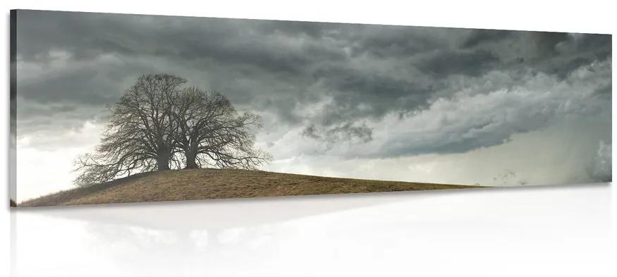 Εικόνα μοναχικών δέντρων - 150x50