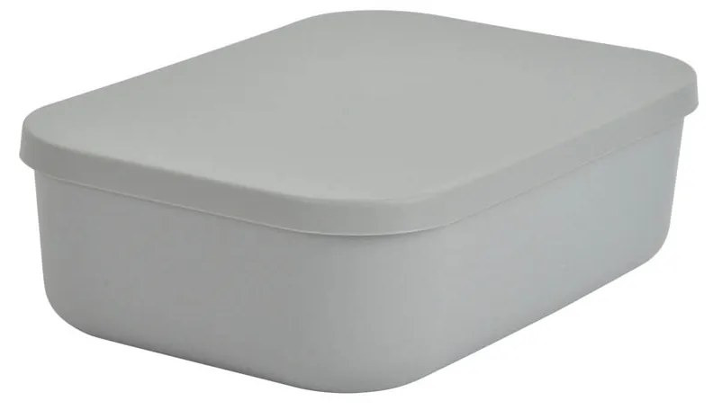 Κουτί Αποθήκευσης (25x17.5x7.6) L-C Gris 6RAN838GR