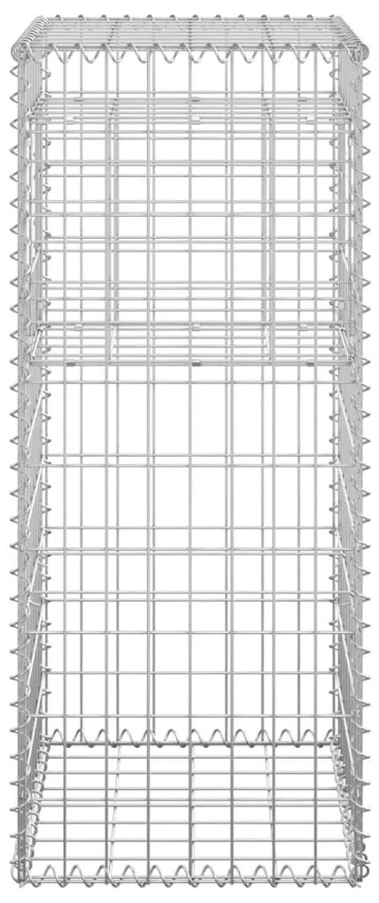vidaXL Συρματοκιβώτια Στύλοι 2 τεμ. 40 x 40 x 100 εκ. Σιδερένιοι