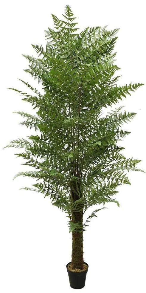 Τεχνητό Δέντρο Αρέκα Phoenix 8280-6 110x260cm Green Supergreens Polyethylene
