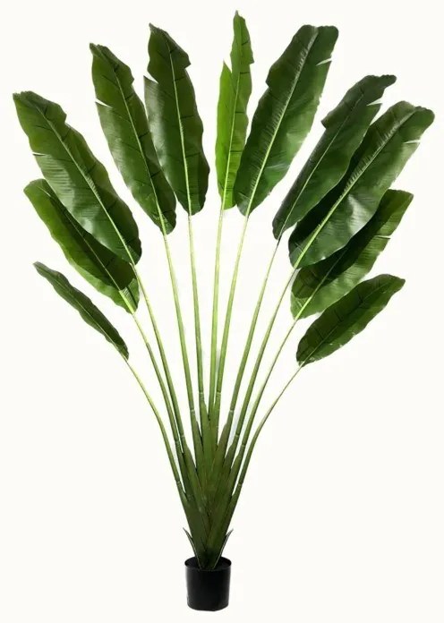 Supergreens Τεχνητό Δέντρο Πουλί του Παραδείσου "Strelitzia Ravenala" Πράσινο 250 εκ.