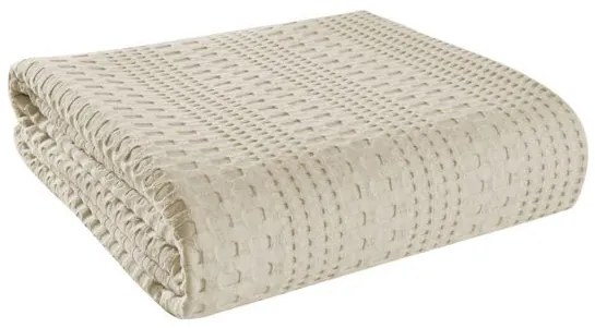 Beauty Home Πικέ μονή Division Αrt 1995 Εκρού 170x240