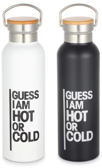 Θερμός Guess με διπλά τοιχώματα 500ml σε 2 χρώματα