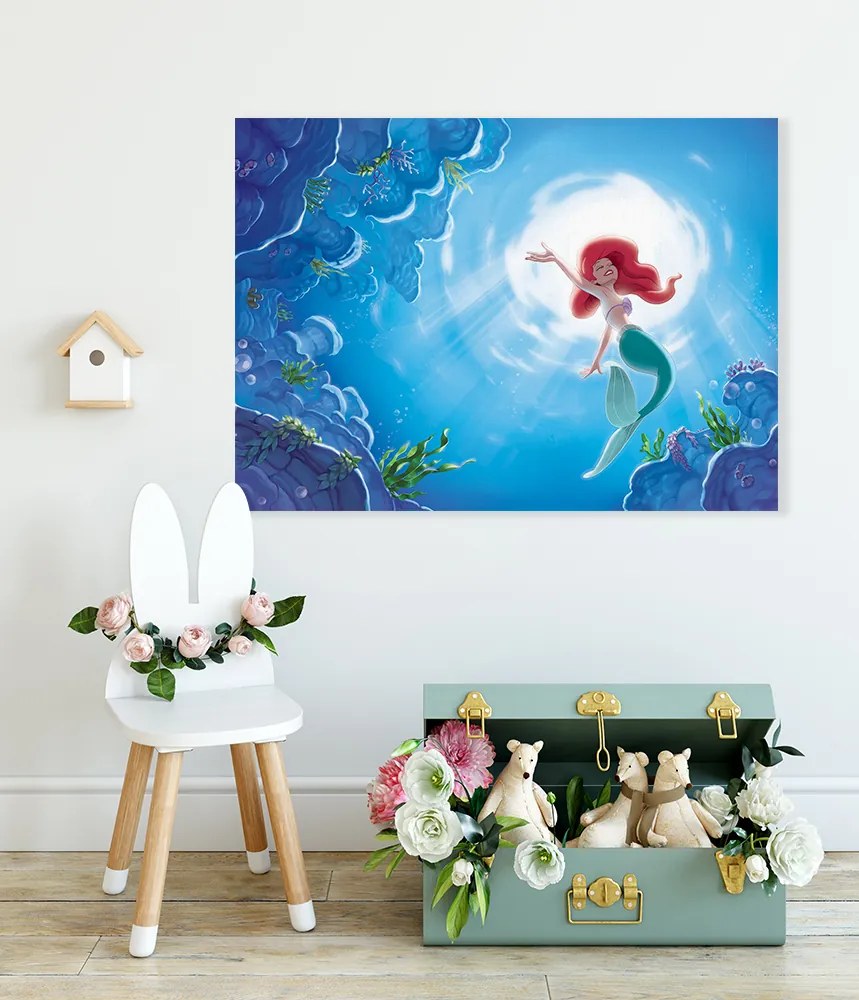 Παιδικός πίνακας σε καμβά Ariel KNV0574 80cm x 120cm