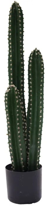 Intrahome Διακοσμητικό φυτό Cactus III σε γλάστρα intrahome πράσινο pp Υ85εκ | SKU: INTRAPA-427111135