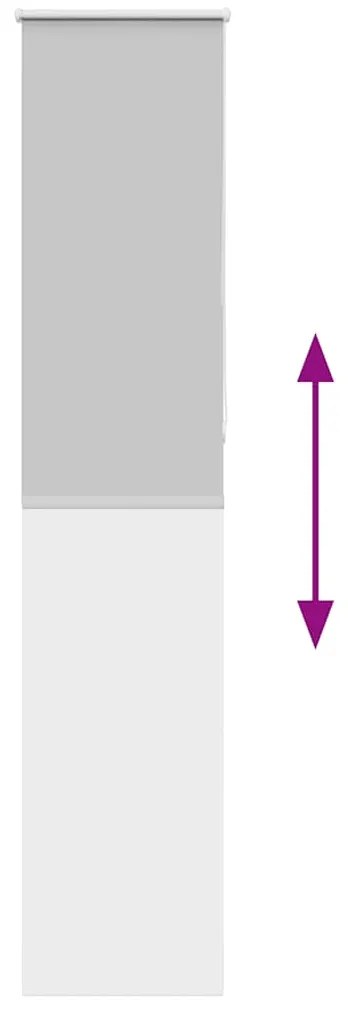 Roller Blind Blackout ανοιχτό γκρι 50x210 cm Πλάτος υφάσματος 4011430