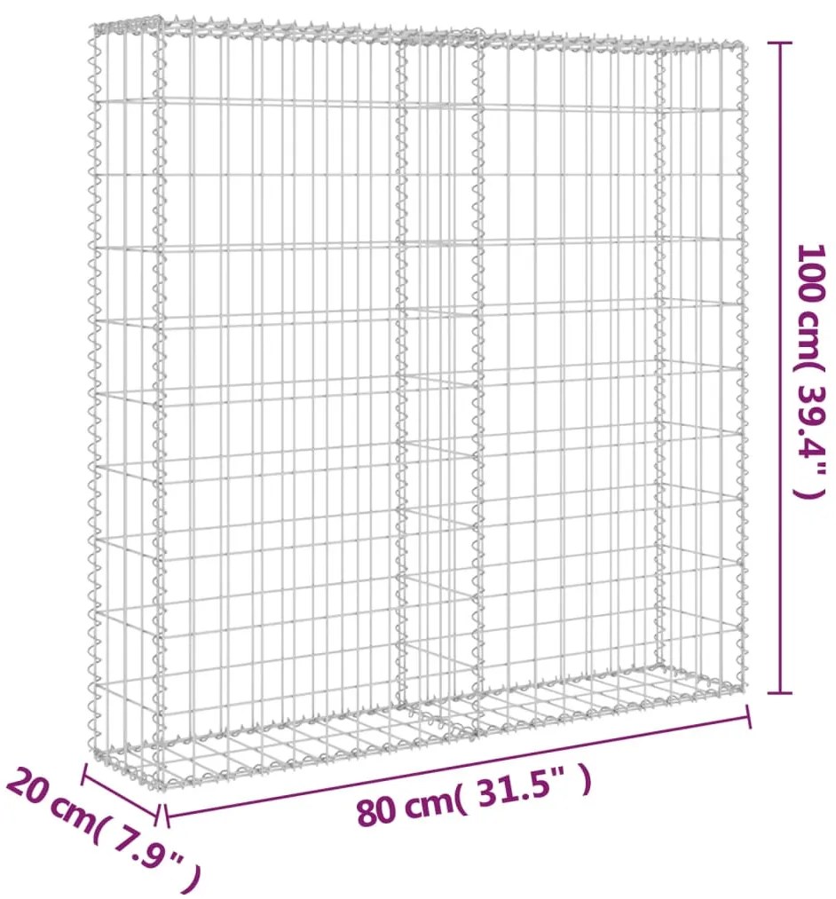 vidaXL Συρματοκιβώτιο Τοίχος 80x20x100 εκ. Γαλβαν.Χάλυβας + Καλύμματα