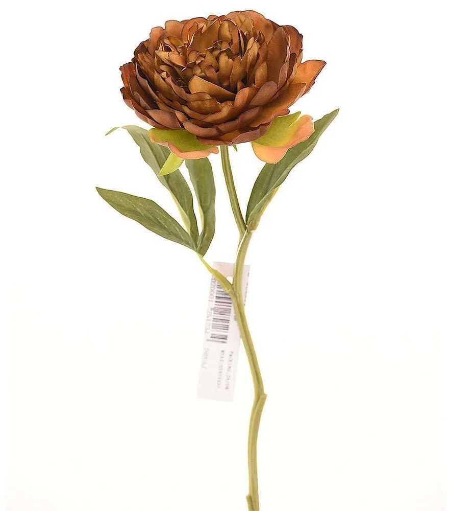 Τεχνητό Κλωνάρι Παιώνια 5280-7 34cm Brown Supergreens Polyethylene