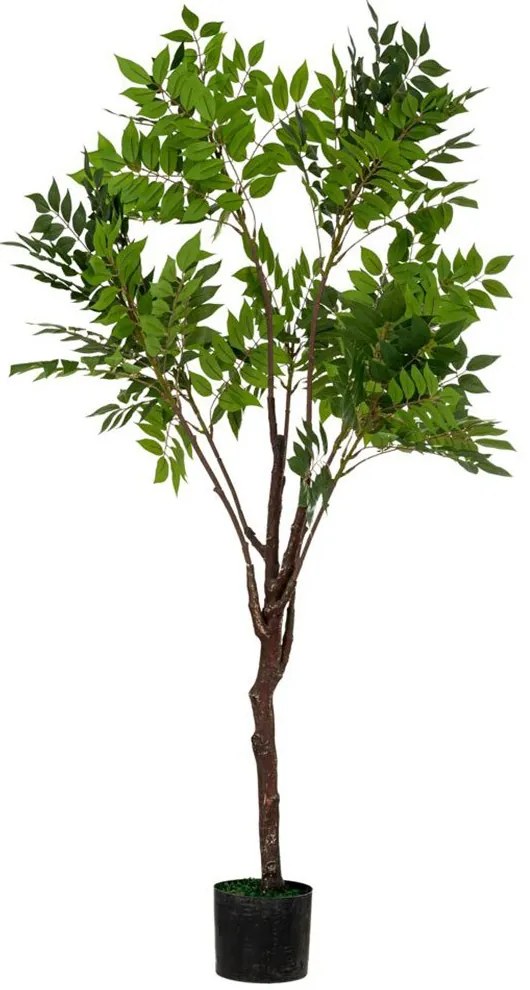 Φυτό Ακακία Real Touch 89791 140cm Green Πλαστικό