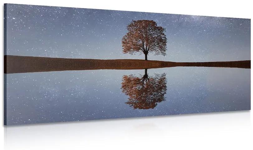 Εικόνα έναστρου ουρανού πάνω από ένα μοναχικό δέντρο - 100x50