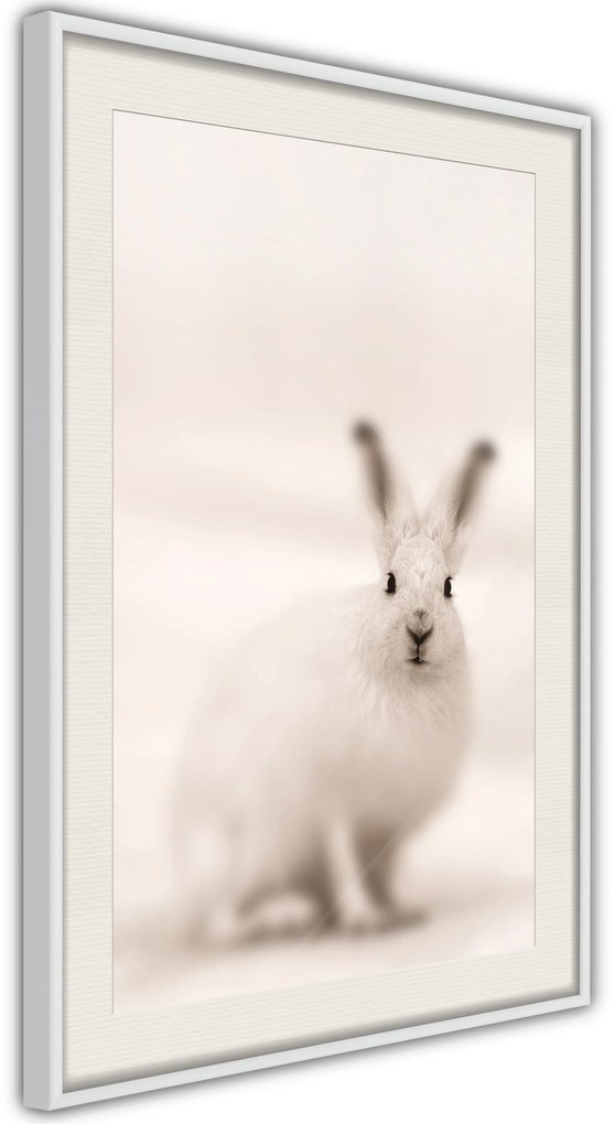 Αφίσα - Curious Rabbit - 20x30 - Χρυσό - Χωρίς πασπαρτού