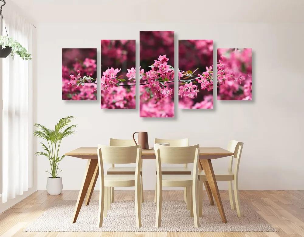 Εικόνα 5 τμημάτων λεπτομερή άνθη κερασιάς - 200x100