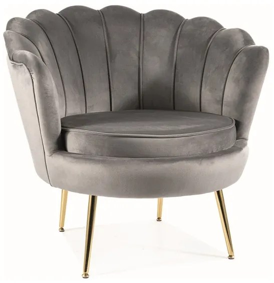 FOTEL CAMELLIA 1 VELVET SZARY BLUVEL 14/ZŁOTY DIOMMI-80-3210