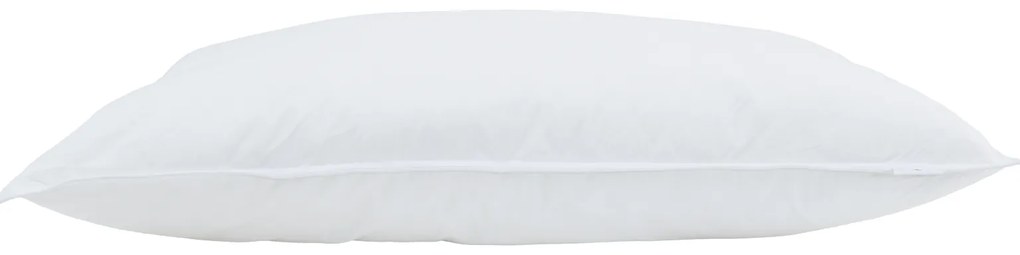 vidaXL Μαξιλάρια 2 pcs Λευκό 60 x 70 εκ. 130gsm 100% βαμβάκι