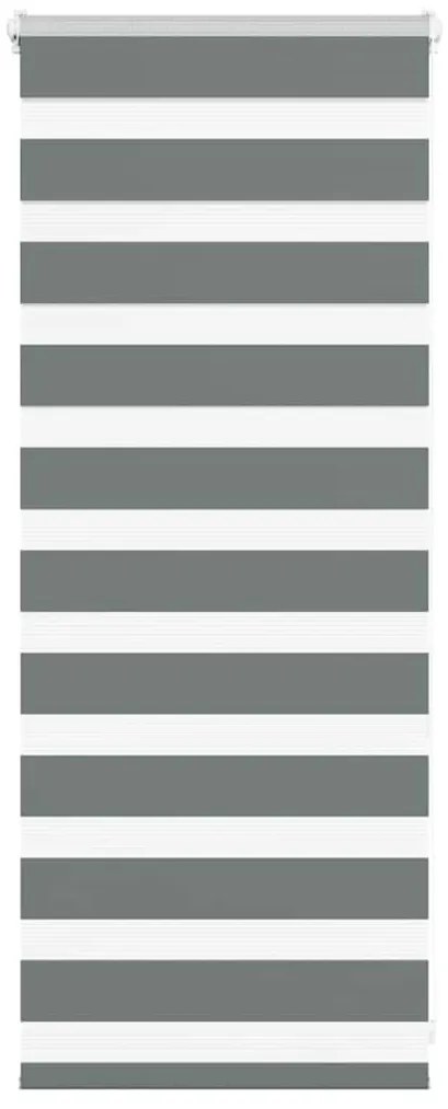 vidaXL Ζέβρα τυφλή Σκούρο Γκρι Πλάτος υφάσματος 55,9 εκ. Πολυεστέρας